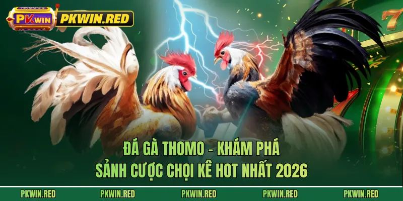Đá Gà Thomo - Khám Phá Sảnh Cược Chọi Kê Hot Nhất 2026