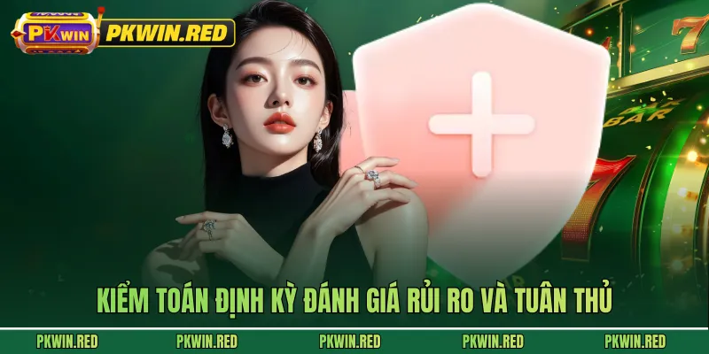 Kiểm toán định kỳ đánh giá rủi ro và tuân thủ