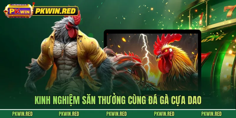 Kinh nghiệm săn thưởng cùng đá gà cựa dao tại PKWIN