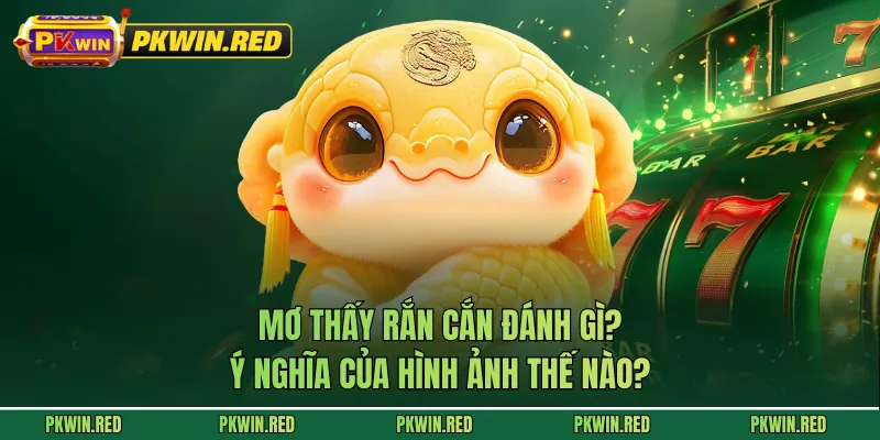 Mơ Thấy Rắn Cắn Đánh Gì? Ý Nghĩa Của Hình Ảnh Thế Nào?