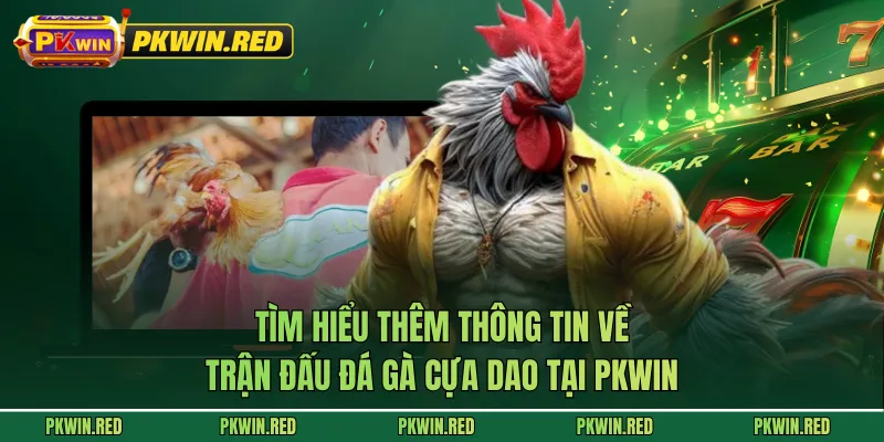 Tìm hiểu thêm thông tin về trận đấu đá gà cựa dao tại PKWIN
